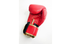 Боксерские перчатки Raja Snake red 12 oz Боксерские перчатки Raja Snake red 12 oz