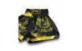 Шорты для бокса Blegend black/gold S