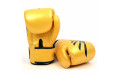 Боксерские перчатки Fairtex BGV1 Falcon 10 oz
