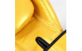 Боксерские перчатки Fairtex BGV1 Falcon 16 oz