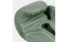 Боксерские перчатки Fairtex BGV11 F-DaY 12 oz Боксерские перчатки Fairtex BGV11 F-DaY 12 oz