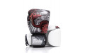 Боксерские премиальные перчатки Fairtex BGV24 16 oz