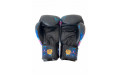 Боксёрские перчатки Raja Urban Predator 14 oz