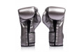 Боксерские перчатки Fairtex BGV9C-PLUS gun metallic 14 oz