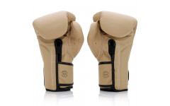 Боксерские перчатки Fairtex BGV25 F-DaY2 10 oz Боксерские перчатки Fairtex BGV25 F-DaY2 10 oz