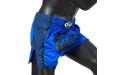 Шорты для бокса Fairtex BS1702 (синий) L