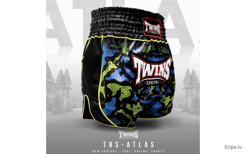 Шорты для бокса Twins Special TBS Atlas L