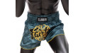 Шорты для бокса Fairtex BS1915 XL