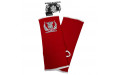 Голеностопы Top King TKANG-01 red L Голеностопы Top King TKANG-01 red L