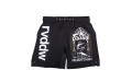 Шорты для ММА Fairtex AB Reversal S
